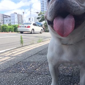 晴天なり！！イメージ