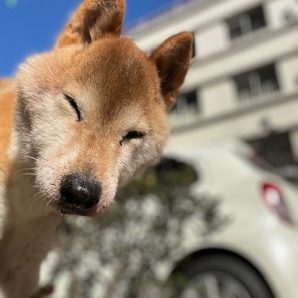 気持ちの良い晴れですね☼イメージ