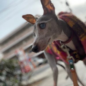 寒くてもみんな元気です٩꒰｡•◡•｡꒱۶イメージ