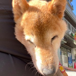 天気のいい一日☀＾＾イメージ