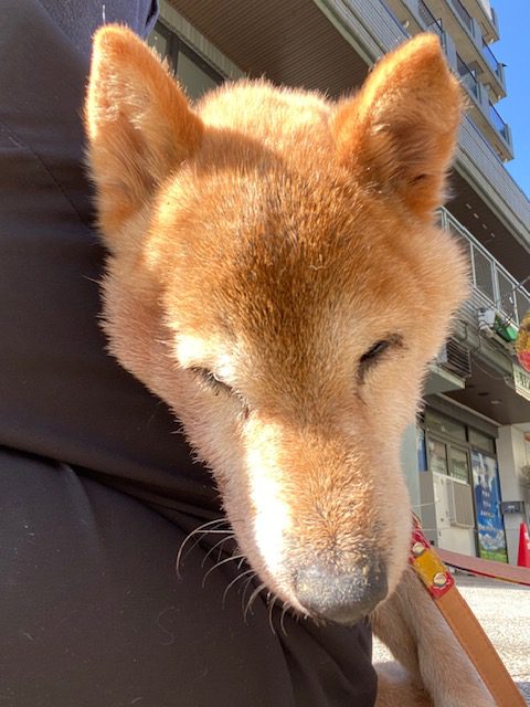 天気のいい一日☀＾＾イメージ