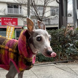 新しい月の始まりですイメージ