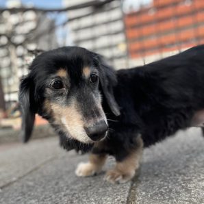 春の季節がやって来てますね🌸イメージ