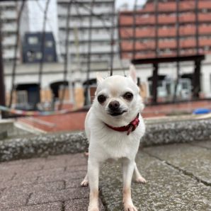 お天気は下り坂🌥イメージ