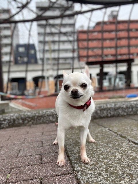 お天気は下り坂🌥イメージ