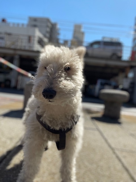 ポカポカの一日☀イメージ