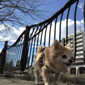 今日も元気いっぱい!!イメージ