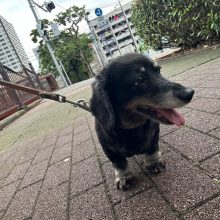 梅雨入りかな??イメージ