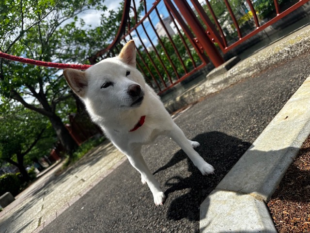 天気が良いです(*´ω｀)イメージ