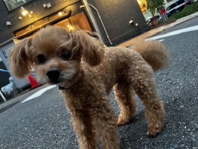 天気が良すぎます(;^ω^)イメージ