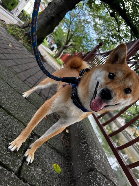 風が気持ちいです(*´ω｀)イメージ