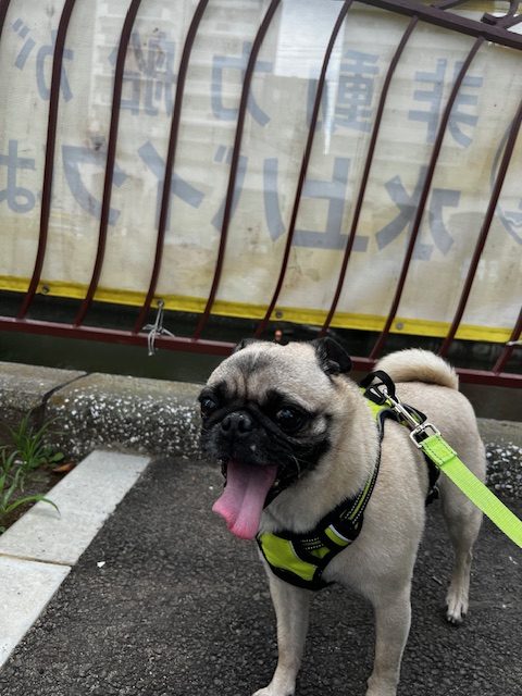 梅雨が終わりましたね(;^ω^)イメージ