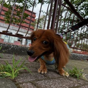 今日もいい天気ですね～～イメージ