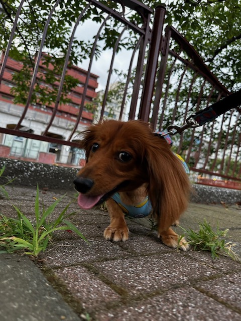 今日もいい天気ですね～～イメージ