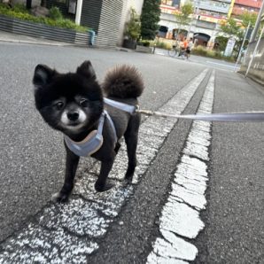 今日もアチアチな１日でした～(*_*;イメージ