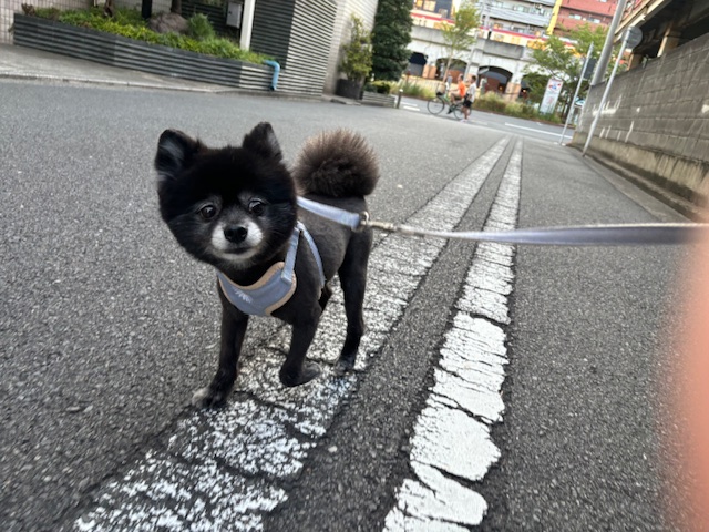 今日もアチアチな１日でした～(*_*;イメージ