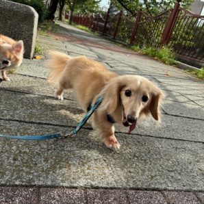 少しずつ秋の香りが‼イメージ