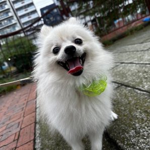 今日も雨降ったりやんだりですね☔イメージ