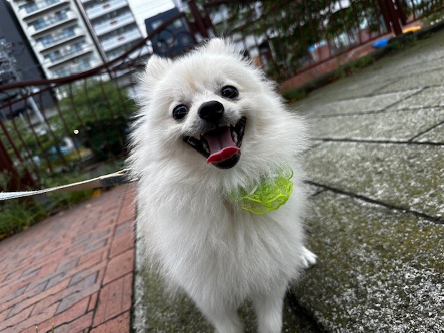 今日も雨降ったりやんだりですね☔イメージ