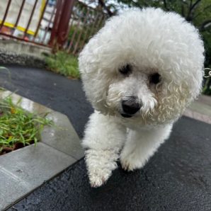 本日から9月です🍂イメージ