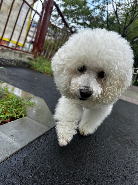 本日から9月です🍂イメージ