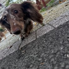 今日は晴天です🌞イメージ