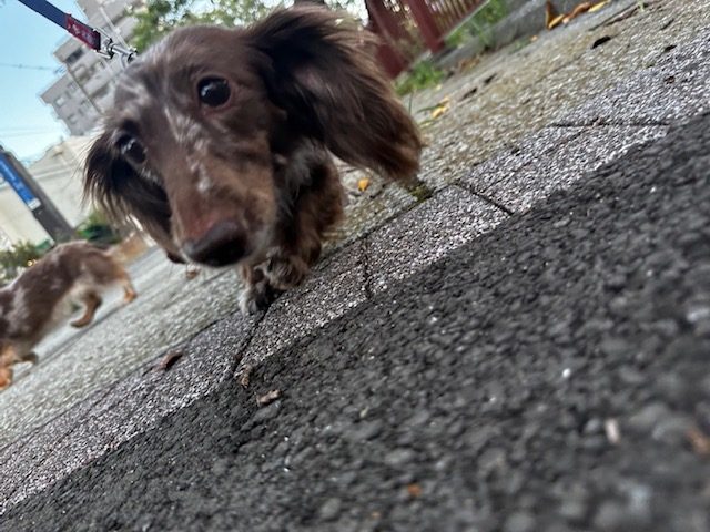 今日は晴天です🌞イメージ