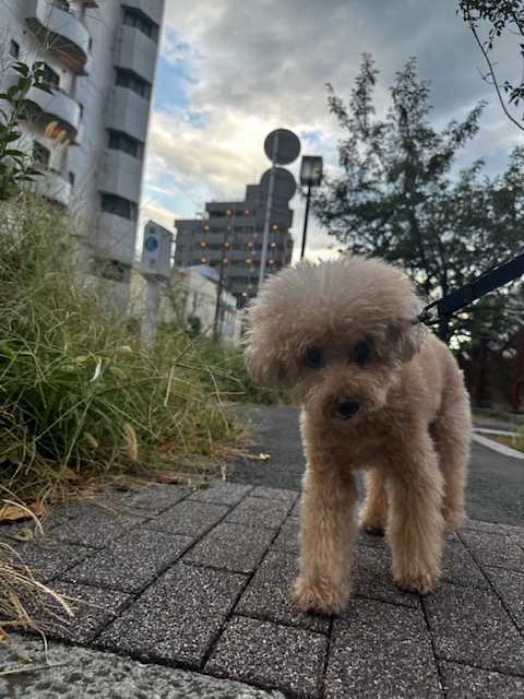 9月後半なのにまだまだ暑いです😰イメージ