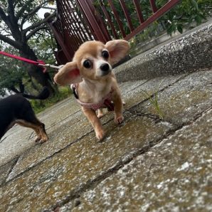 秋風が気持ちいいです(*´з`)イメージ