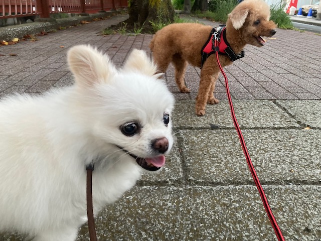 今日も涼しい風が吹いていました♪イメージ