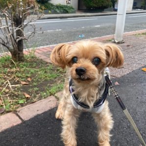 今日は雨模様です☔イメージ