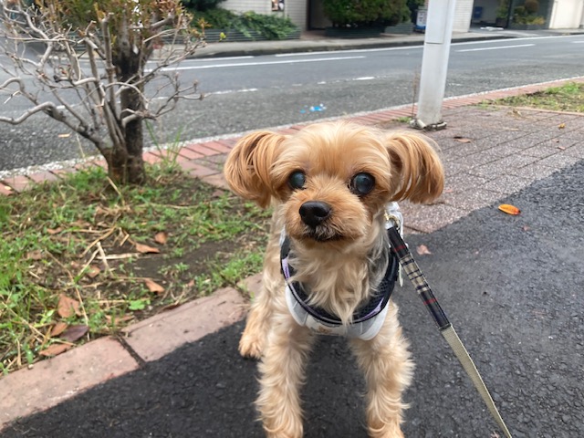 今日は雨模様です☔イメージ