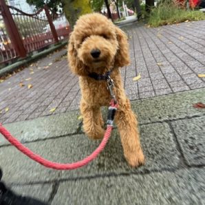 本日は1日雨模様です(>_<)💧イメージ