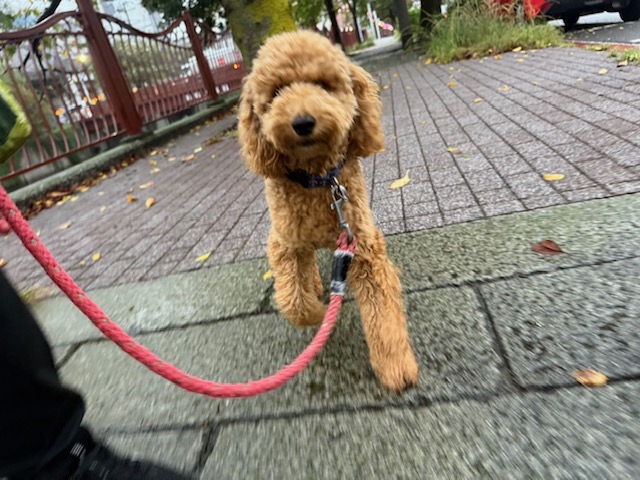 本日は1日雨模様です(>_<)💧イメージ