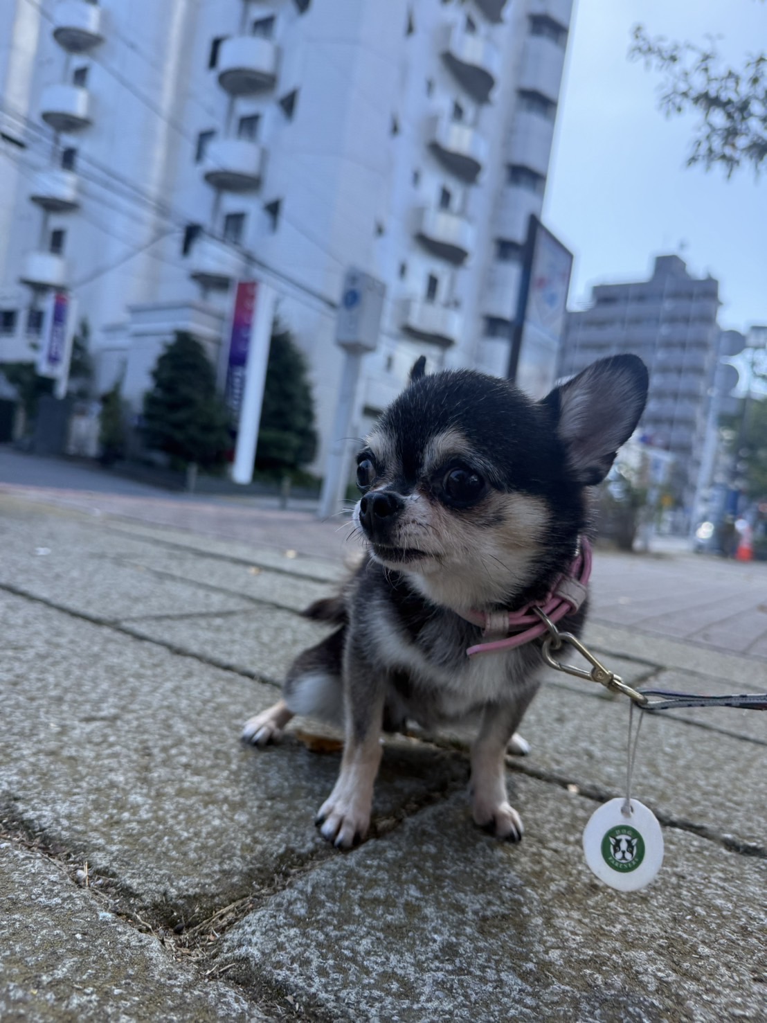 今日もいい天気です～🌞イメージ