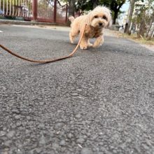 風が冷たいです(>_<)💦イメージ