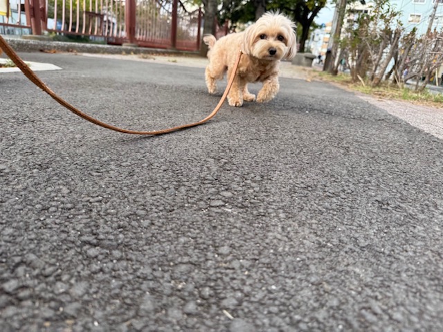 風が冷たいです(>_<)💦イメージ