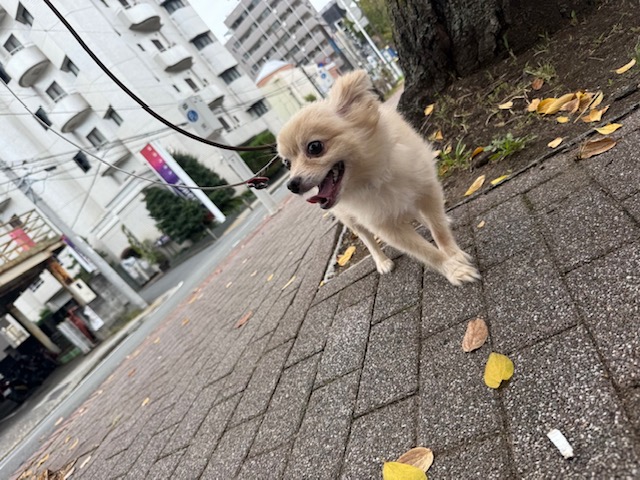 今日も涼しい1日ですね～～イメージ