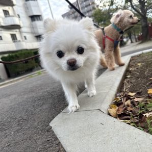 今日はハロウィンですね🎃👻イメージ