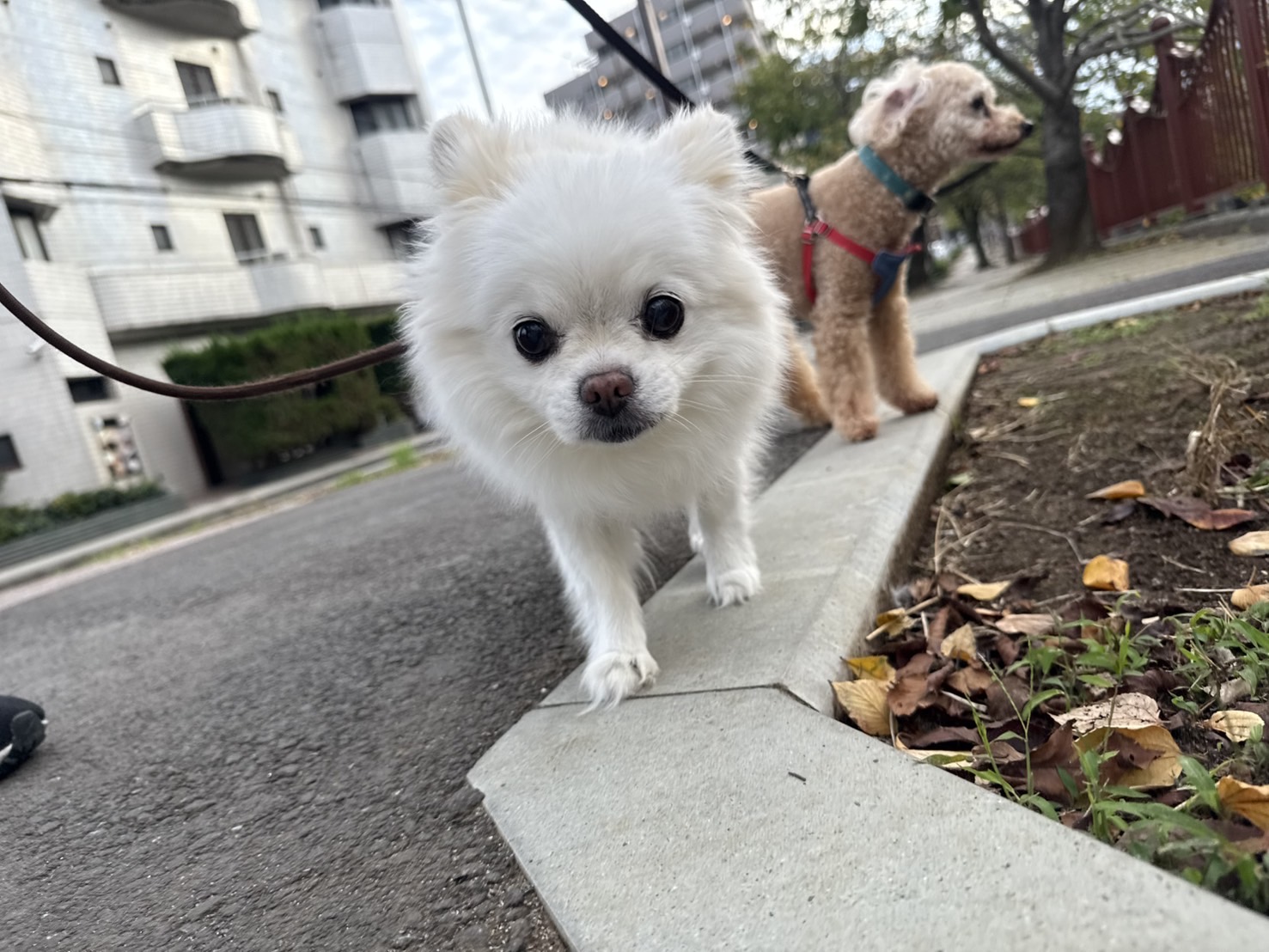 今日はハロウィンですね🎃👻イメージ