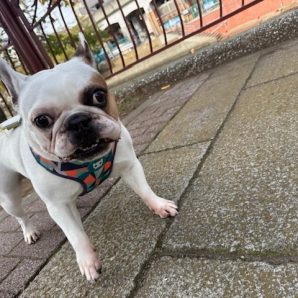 今日も天気はいいですが寒いですね～🥶🌞イメージ