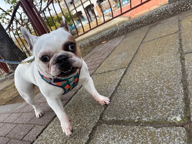 今日も天気はいいですが寒いですね～🥶🌞イメージ