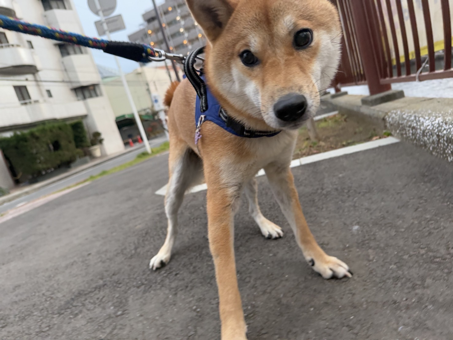 あと10日で新年です‼イメージ