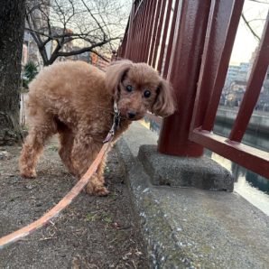 入れ替わりが激しいです‼イメージ