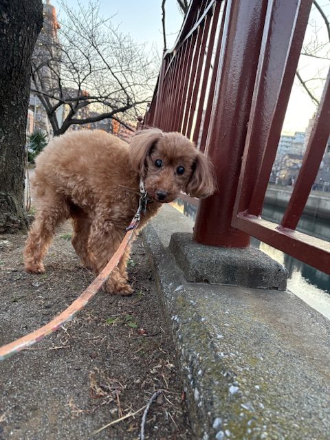 入れ替わりが激しいです‼イメージ