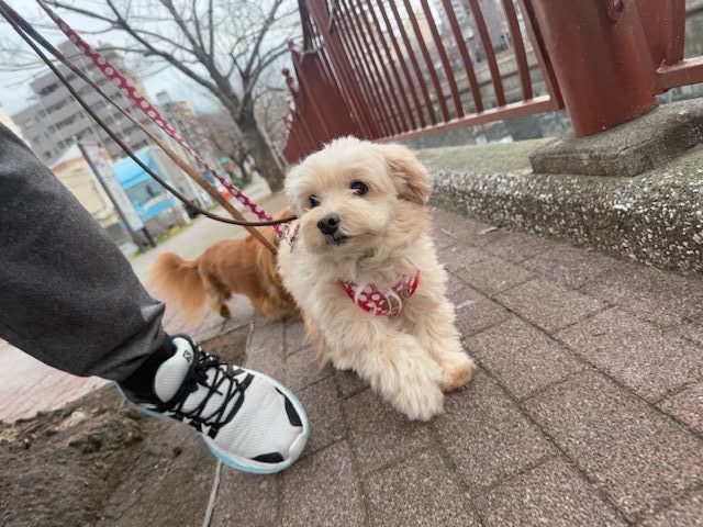 今日も寒い１日でした(ToT)/~~~イメージ