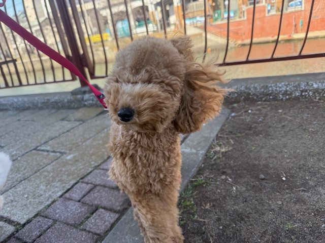 今日は晴れていて気持ちのいい日でしたね♬イメージ