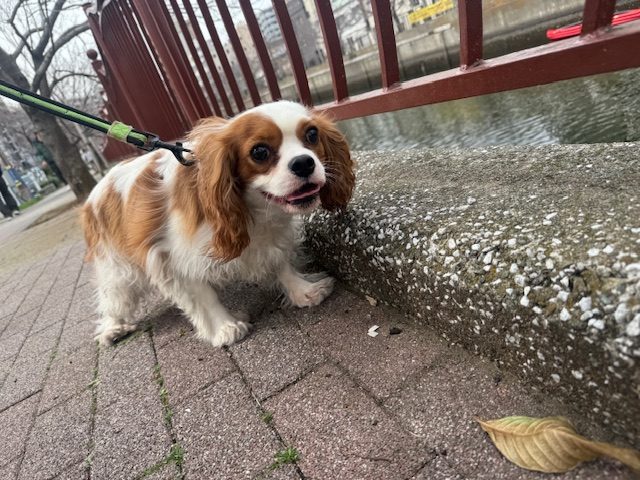 また天気が不安定な午後でした(ノД`)・゜・。イメージ