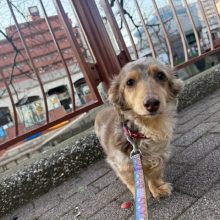 今日は朝からずっと暖かい日でした（●＾o＾●）イメージ