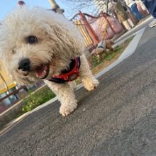 昨日よりも暖かくて気持ちがいい日でした(^^♪イメージ